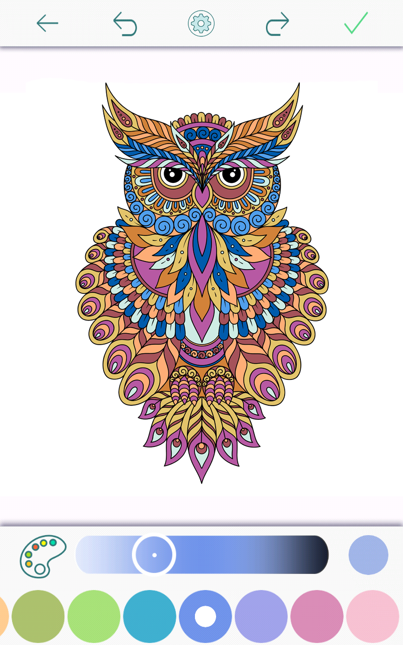 Owl Coloring Books